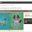 튼튼영어마스터클럽 - 춘천시 춘천로449번길 20 | 튼튼영어마스터클럽