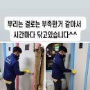 용인대정도태권도체육관