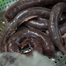 옥이네순대국