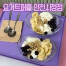 남동159 | SNS에서 핫한 요거트아이스크림 맛집 두쫀쿠 판매 요거트퍼플 인천시청점 방문후기 가격정보 주차정보