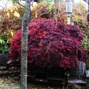 국사봉식당 이미지