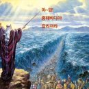 홍해바다 네이버블로그