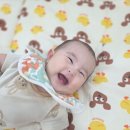 빵글이 스토어 네이버블로그