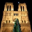 [파리] 노트르담 대성당Cathédrale Notre-Dame de Paris의 크리스마스 야경 이미지