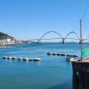 신진대교아래 안흥항 이미지