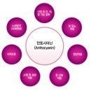 자색(자황)고구마 효능| 이미지