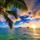 미미여행사 이미지