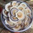 해물장터 | 당감동 야장 분위기 가득,합리적인 조개구이와 해산물 해물장터 후기