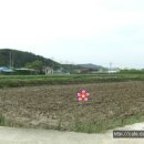 고성부동산중개사무소 이미지