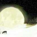 어머니의 마음 이미지