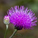 호텔 스테이 이미지