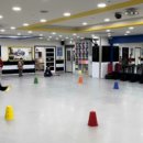 올바른태권도 네이버블로그