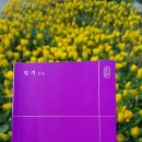 P-6716 | [낭독&amp;필사클럽] 황정은 에세이 &lt;일기&gt; 후기