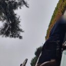 관공서 민원실 이미지