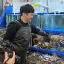 줄포시장 이미지