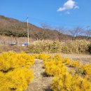 황금수퍼 - 북구 동문대로 102 | 황금수퍼