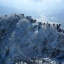 양지-3306 이미지