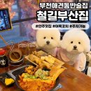 라피에스타 QV | [철길부산집] 부천애견동반 안주가 맛있는 옥길동 술집 오뎅바 추천
