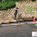 정원여자중학교 이미지