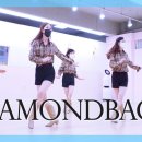 Diamondback | 다이아몬드백 라인댄스 이미지