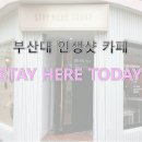 Stay here(스테이히얼) 이미지
