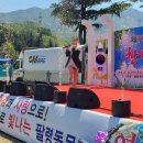 팔령초등학교 이미지