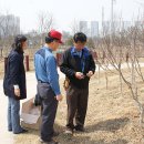 전남 화순 상상수목원 무궁화 품종 삽수 지원(4. 3) 이미지