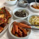 미시령황태연가 이미지