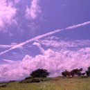 우영팟민박 이미지