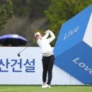 제주앤파트너스투어 이미지