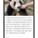 팅커벨강아지미용실 | 2023년 5월 일상 ➰ 01