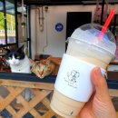 빵굽는 야옹이 | 정선2박3일 여름방학 가족여행- 메이힐스 옆 베이커리 카페 「빵굽는 야옹이」