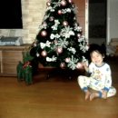 핑크트리 이미지