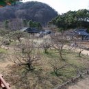 회연농장 네이버블로그