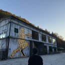 솔로투담양점