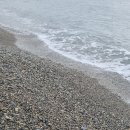 정자항 공중화장실 이미지