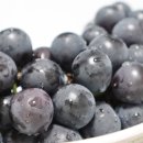 무지개빛농장 이미지