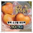 달콩네일 | 평택에서 지금 가장 핫한 간식 두쫀쿠가고 버터떡 라이크미