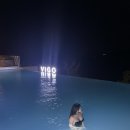 비고리조트 11 이미지