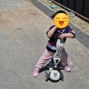 유아 | (당근) 스쿳앤라이드 유아킥보드 후기 🚲