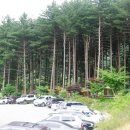 푸른숲캠핑장 이미지