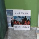 다복상회 | [건강한 나무 이야기#001] 돌사진+돌상 사진 스튜디오 촬영후기(광명 네잎클로버스튜디오)
