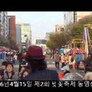 16년4월15일 제2회 벚꽃축제 동영상 이미지