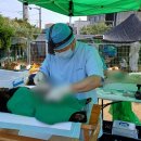 안단테 동물의료센터 이미지