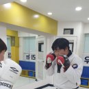 국가대표 울림태권도 이미지
