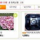 예진식물원