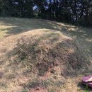 무릉도원면-9 이미지