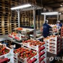 수석농장 이미지