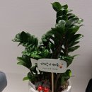 데일리PT스튜디오 | 혼자 운동에 한계 느낄 때, 삼양사거리pt 데일리프리미엄 그룹PT샵 후기