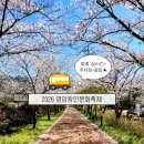 (주) 지닌 | 2026 영암왕인문화축제 생생후기 (벚꽃 실시간, 주차장, 꿀팁)